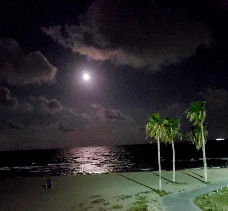 Spectacular Beach View! Corpus Christi Esterno foto
